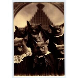 Halloween Bat Costume Photo Glossy 4x6 Paper Vintage Style